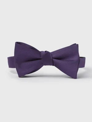 The Black Tux Neckwear*Violet Butterfly Bow Tie